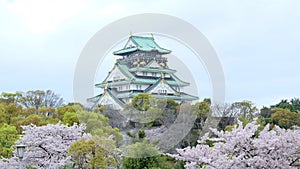 Osaka Castle & x28;å¤§é˜ªåŸŽ, ÅŒsakajÅ& x29;Â with sakura